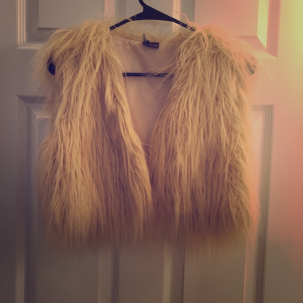 Fur vest
